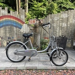 大人用 三輪車 ブリジストン ミンナ