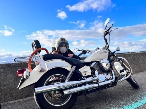 YAMAHA ドラッグスター 250  早期希望