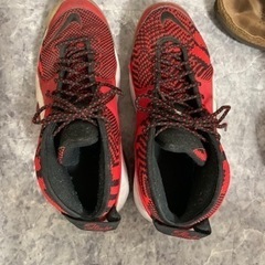 28.5cm赤い靴　ナイキ