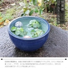 【6/23(日)以降は処分になります😢】信楽焼 10号水鉢 すい...
