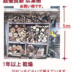 薪　大人気！薪ストーブ用乾燥薪・キャンプ用薪☆☆ 1年以上前に伐採した　超優良樫の木＆広葉樹&たくさんおまけ付き！　軽トラ1台分10000円 　超お買い得品です！２