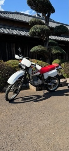 XLR125 整備済み即乗り\n