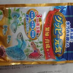 ✨超美✨ 超紅銀河雷龍 七星魚