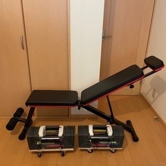 IGNIO トレッドミル R16