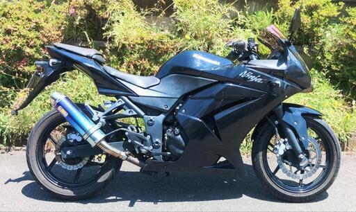 ニンジャ250R　走行26700km　(No.2164)