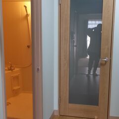 パナソニック建材ガラスドア-その1