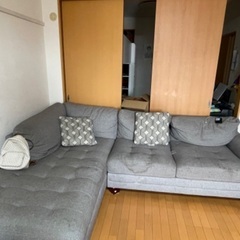 Big Sofa ( from Costco) 