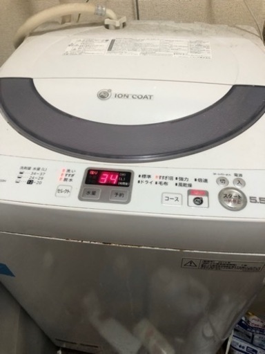 家電 生活家電 洗濯機