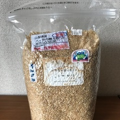 栽培中無農薬・無化学肥料玄米2kg