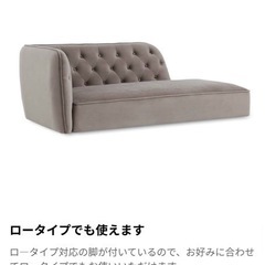 家具 ソファ 2人掛け　ベルベッド生地　カウチソファ　グレー