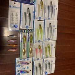 コアマンルアーセット　シーバス