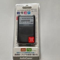 AudioComm ポケットラジオRAD-P122N-H 