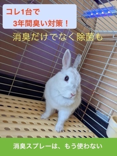 LED除菌脱臭灯カー用品　ペット用品　消臭