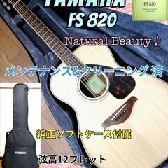 ◆トップ単板・Natural Beauty ◆ YAMAHA F...