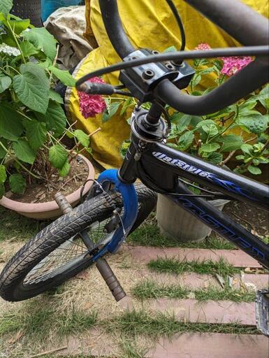 その他 BMX flastyle F-57