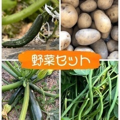 【6/14】野菜セット400円