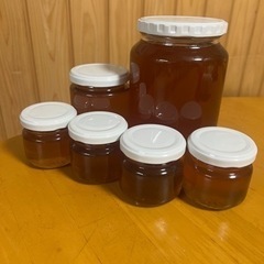 日本蜜蜂の天然蜂蜜