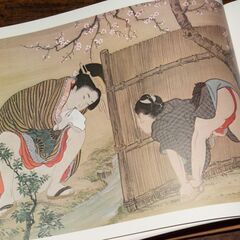 入手困難！超美品！1980年　日本枕絵大観　ケース、カヴァー、外箱付