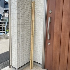 【差し上げます】竹　150cm ２本