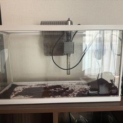 今日限定で特価10000円になります今日の午前中に来てくれる方限定