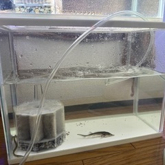 今日限定で特価10000円になります今日の午前中に来てくれる方限定