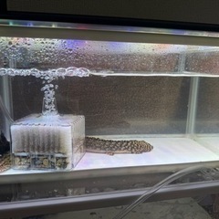 今日限定で特価10000円になります今日の午前中に来てくれる方限定