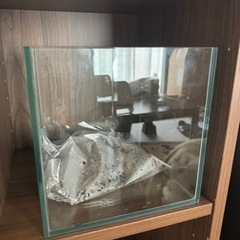 今日限定で特価10000円になります今日の午前中に来てくれる方限定