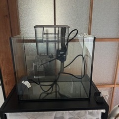 今日限定で特価10000円になります今日の午前中に来てくれる方限定