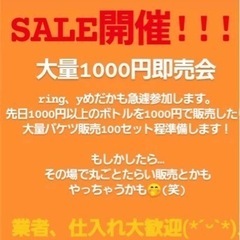 メダカ　1000円セット