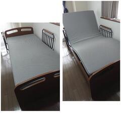 ★【ニトリ】美品❗2024年購入!!電動ベッド 2モーター　ライズ2　家具 ベッド　11万円位で購入　サイトガード付き　💳自社配送時🌟代引き可💳※現金、クレジット、スマホ決済対応※   