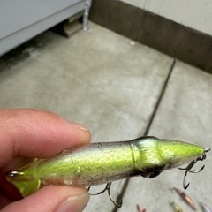 ホタルイカパターンルアーセット ホタパタ ズィークイッド アグア