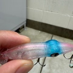 ホタルイカパターンルアーセット ホタパタ ズィークイッド アグア