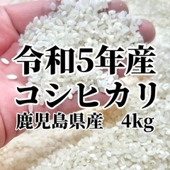 【ネット決済・配送可】お米(4kg)