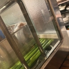 『値下げ中』寿司ネタショーケース