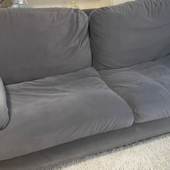 IKEA】VINLIDEN ヴィンリデン（2人掛けソファ）