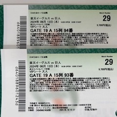 6/13 モバイルパーク　対巨人　ペアチケット