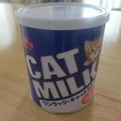 子猫粉ミルク