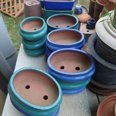 盆栽鉢、植木鉢