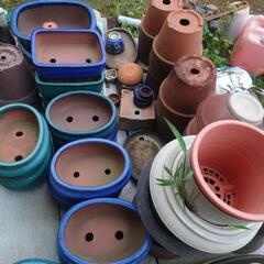 盆栽鉢、植木鉢