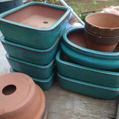 盆栽鉢、植木鉢