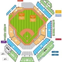 値段交渉可 2枚ファイターズ50周年　千葉ロッテマリンズ　エスコンフィールド　連番　エスコン　セレモニー 観戦チケット