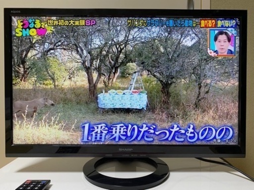 家電 テレビ 液晶テレビ