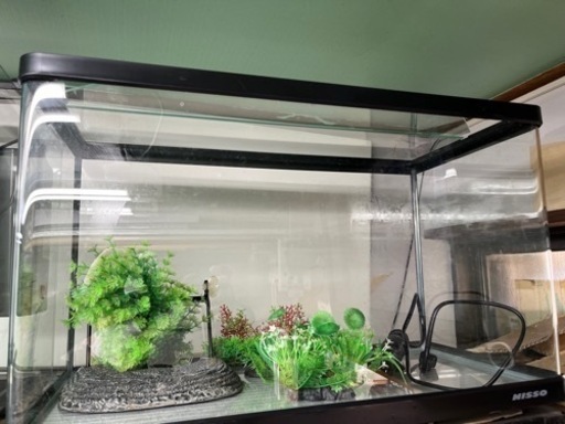 生活雑貨 ニッソー水槽 ニッソー ガラス水槽 AQUARIUM TANK CU-MINI 