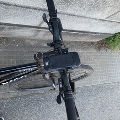 COLNAGO ( コルナゴ ) クロスバイク PORTA 2023年11月新車購入