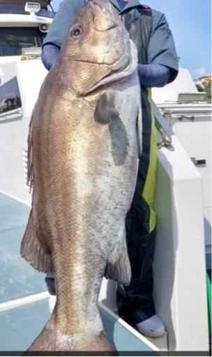 釣り仕立て　　メンバー募集