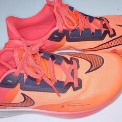 NIKE エア ズーム ライバル フライ3