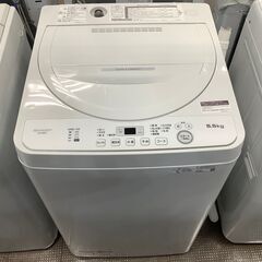 【安心の１年保証付き！】SHARPの全自動洗濯機のご紹介です！