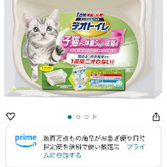 子猫用トイレ　ペット　猫