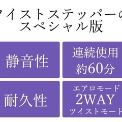 【oasis】プレミアムツイストエアロステッパー