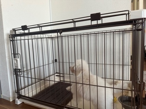 犬　ケージ　ペット用品　ペット